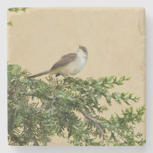 Sparrow stone coaster