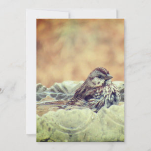 Sparrow Taking a Bath Thank You Card