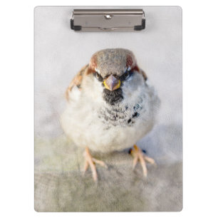 Sparrow - The Warrior Clipboard