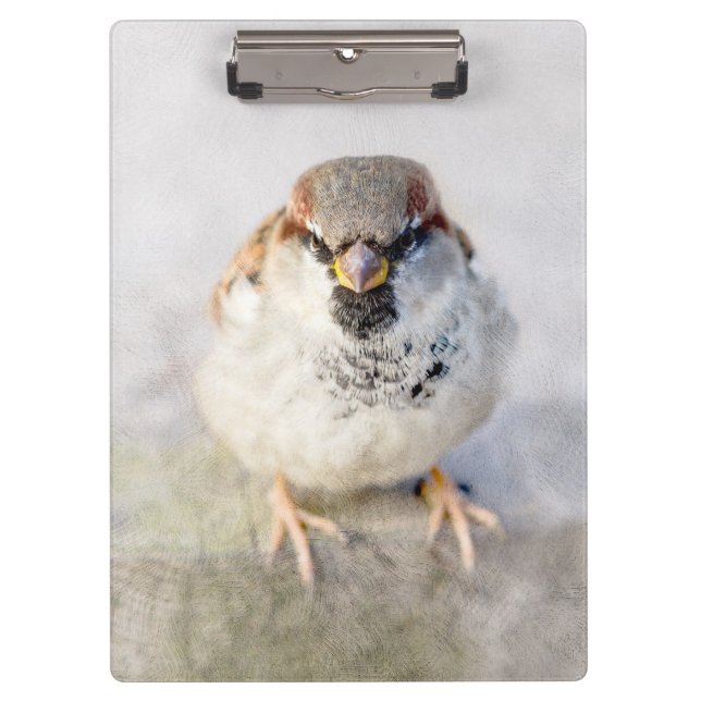 Sparrow - The Warrior Clipboard (Front)