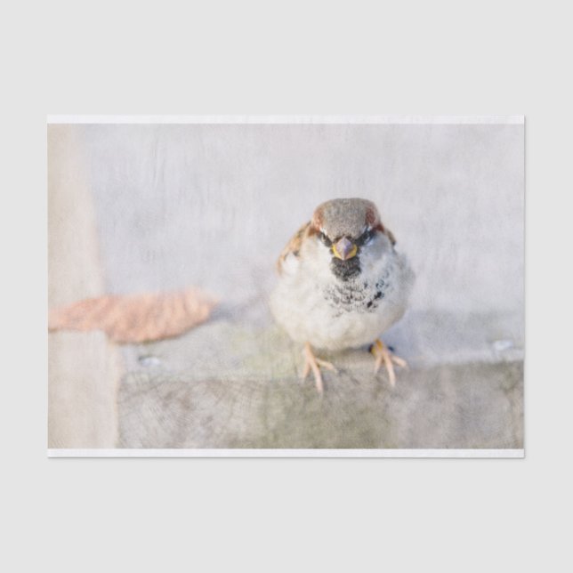Sparrow - The Warrior Tissue Paper (Front)