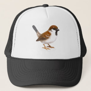 Sparrow Trucker Hat