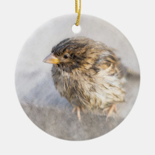 Sparrow - Weather Forecast Epic Fail Ceramic Ornament