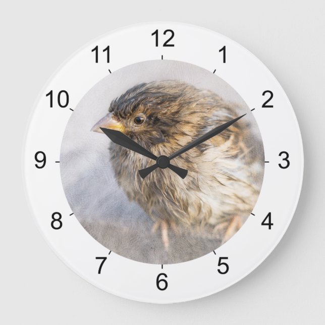 Sparrow - Weather Forecast Epic Fail Large Clock (Front)