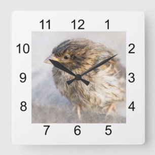 Sparrow - Weather Forecast Epic Fail Square Wall Clock
