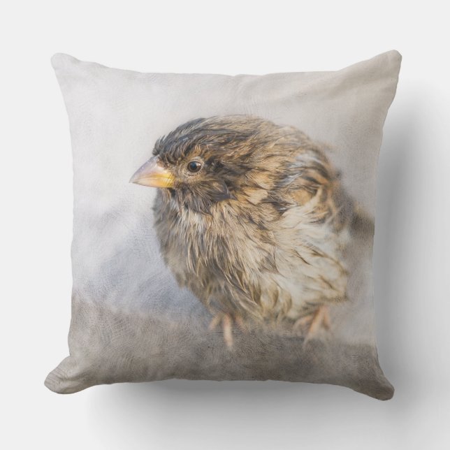 Sparrow - Weather Forecast Epic Fail Throw Pillow (Front)