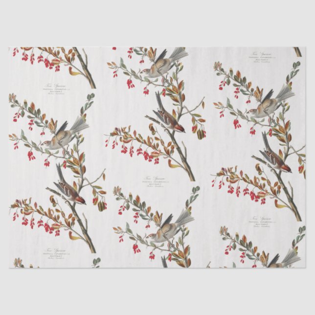 Sparrows and Branches Pattern Decoupage Tissue Paper (Front)