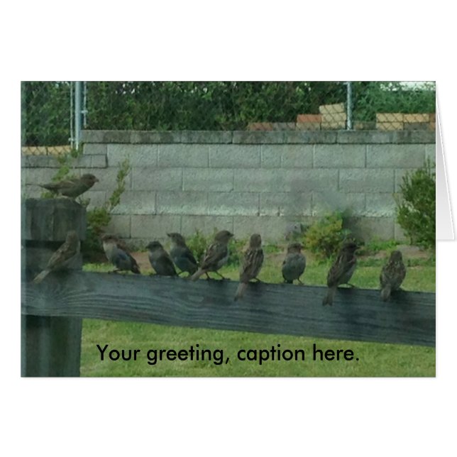 Sparrows Birds on a Rail Your Words Cards (Front Horizontal)