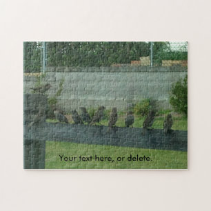 Sparrows Birds on a Rail Your Words Puzzles