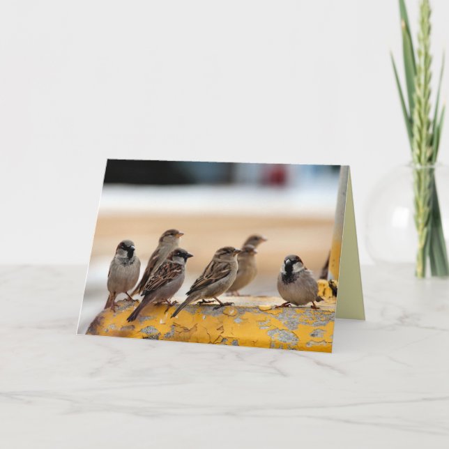 Sparrows Card (Front)