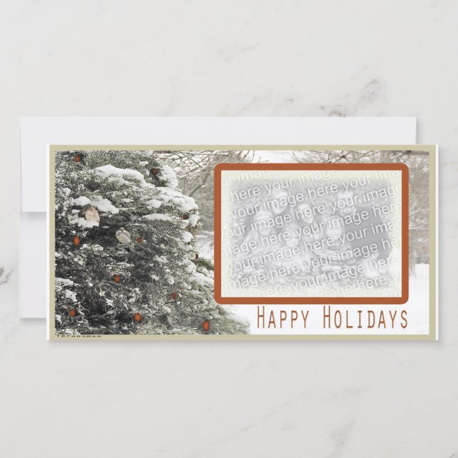 Sparrows in snowy tree holiday Photo Card (Front)