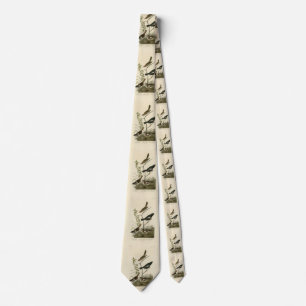 Sparrows, Lark Bunting, Audubon's Birds of America Tie