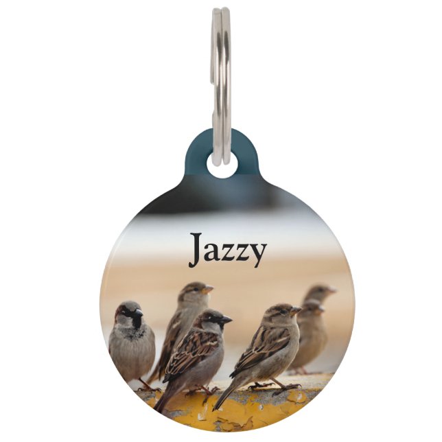 Sparrows Pet Tag (Front)