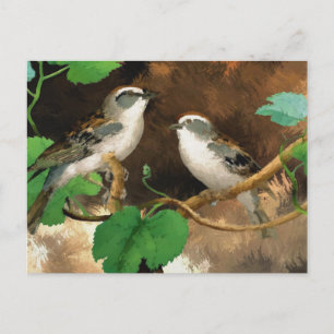 Sparrows Postcard