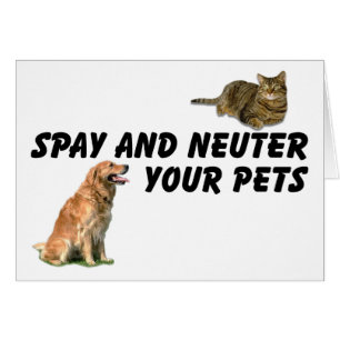 Spay and Neuter