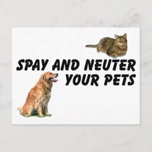 Spay and Neuter Postcard