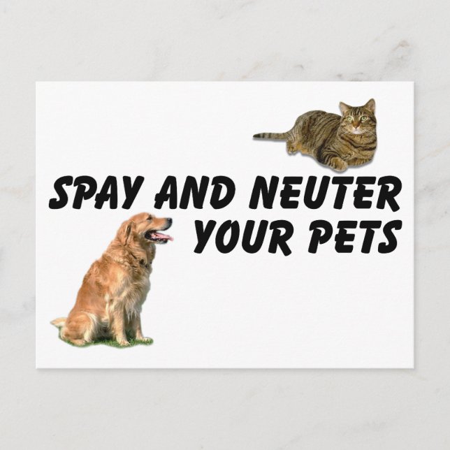 Spay and Neuter Postcard (Front)
