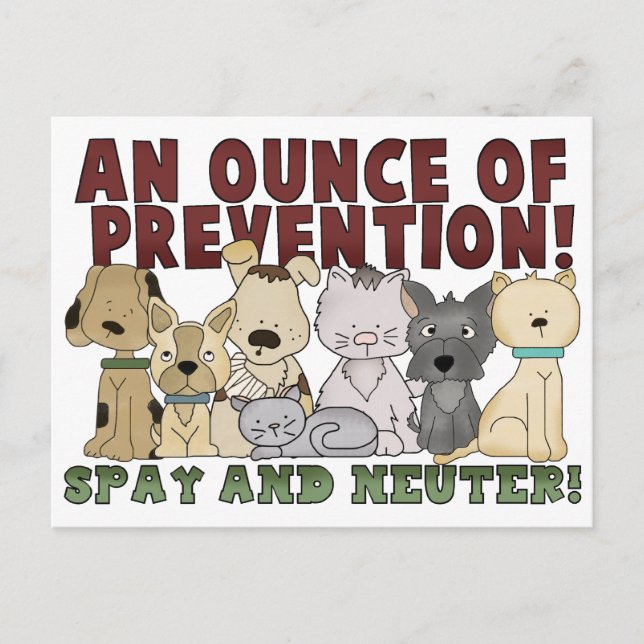 Spay and Neuter Your Pets Postcard (Front)