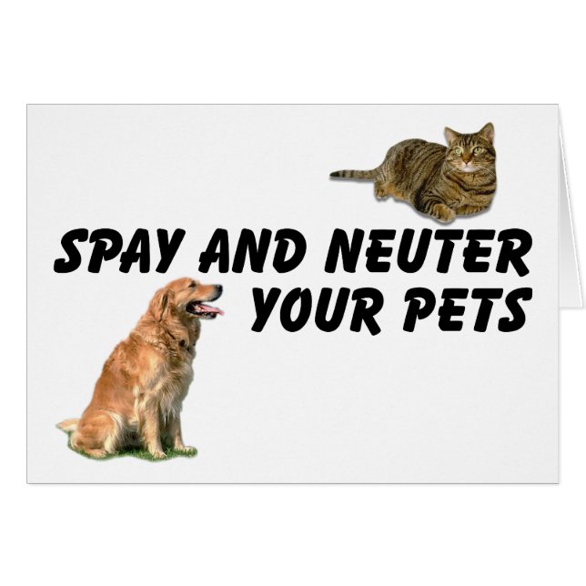 Spay et Neuter (Devant horizontal)