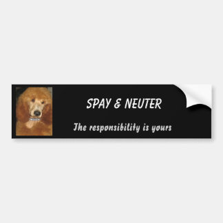 Spay & Neuter bumper sticker