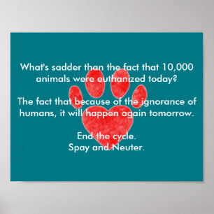 Spay & Neuter Pawprint Poster
