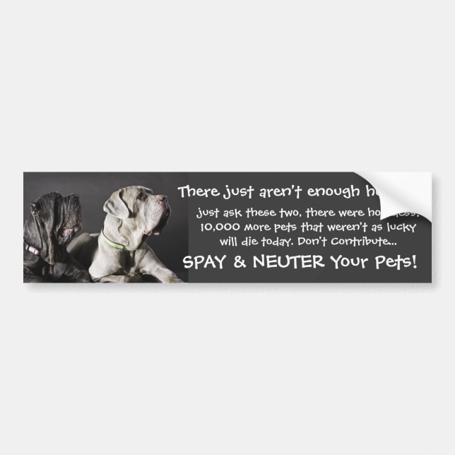 Spay/Neuter Sticker (Front)