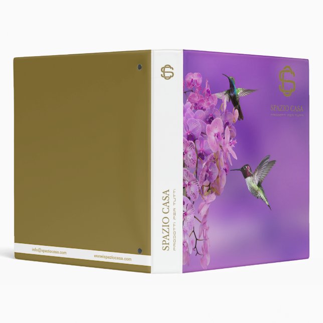 SPAZIO CASA BINDER (Background)