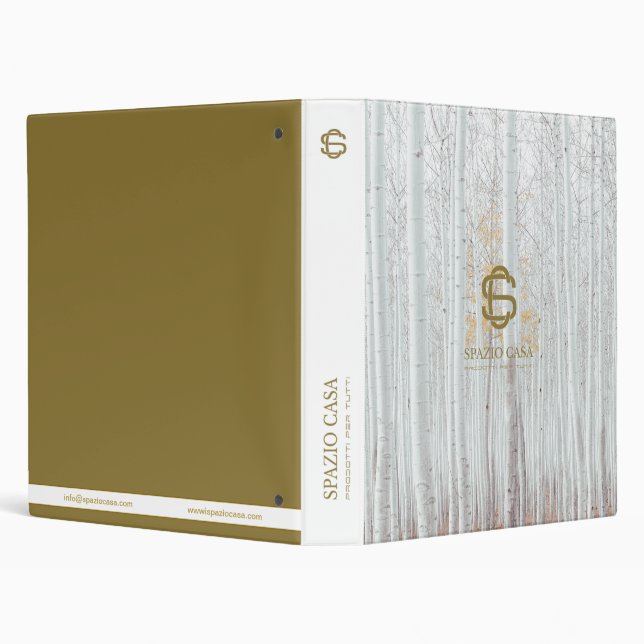 SPAZIO CASA BINDER (Background)