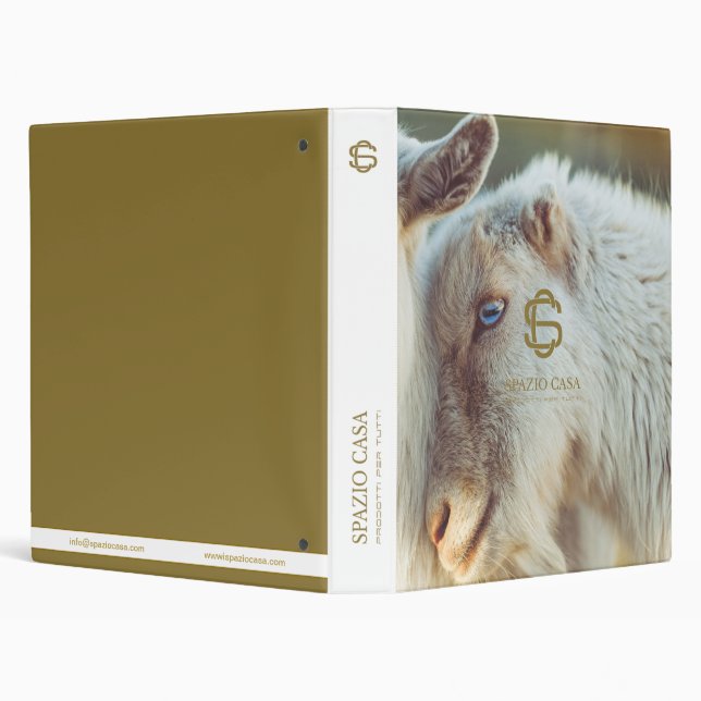 SPAZIO CASA BINDER (Background)