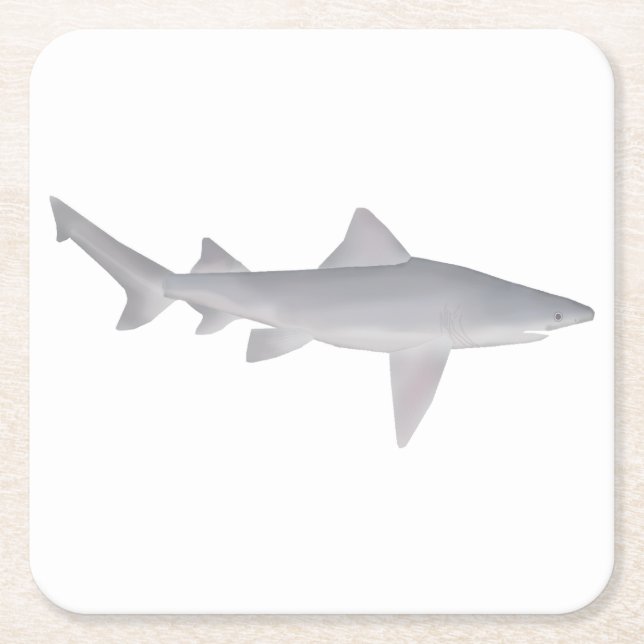 Speartooth Shark Square Paper Coaster (Front)