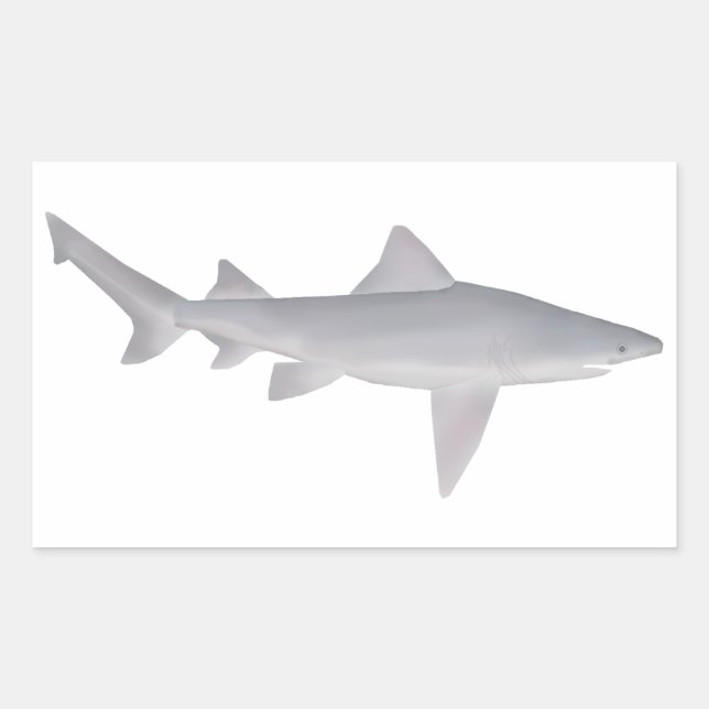 Speartooth Shark Sticker (Front)