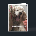 **SPECIAL BIRTHDAY** for "GRANDDAUGHTER" Card<br><div class="desc">GREAT CARD FOR THAT SPECIAL ***GRANDDAUGHTER***</div>