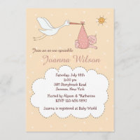 Special Delivery Baby Girl Sprinkle Invitations