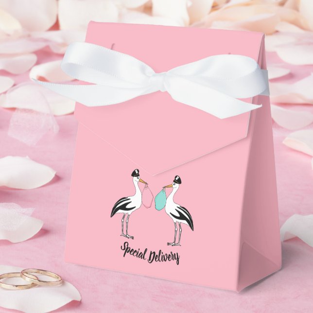 Special Delivery Baby Reveal Sprinkle Shower Favor Box (Wedding)