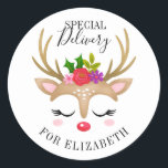 Special Delivery Christmas Cute Reindeer Face Classic Round Sticker<br><div class="desc">A cute reindeer face decorates this sticker with the words Special Delivery. Fun for decorating your girl's Christmas gifts. Personalize it with the name of your choice. Designed for you by Blackberry Boulevard.</div>