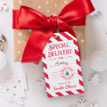 Special Delivery From Santa Christmas Gift Tags<br><div class="desc">These stylish gift tags add a wow factor to your gifts! Visit our website at www.berryberrysweet.com for more selections.</div>
