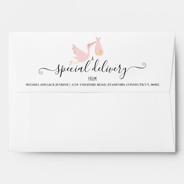 Special Delivery Stork Baby Shower Sprinkle Pink Envelope (Back (Top Flap))