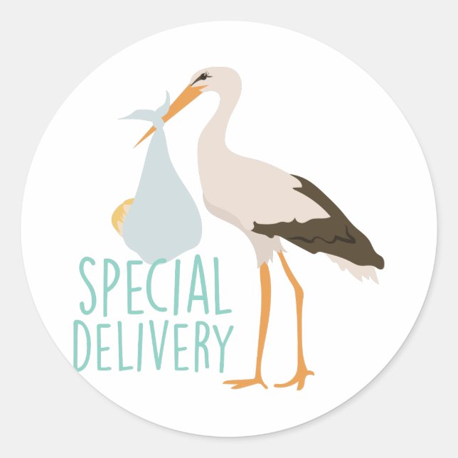 Special Delivery Stork Classic Round Sticker (Front)