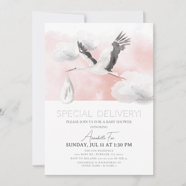 Special Delivery Stork Girl Baby Shower Invitation (Front)