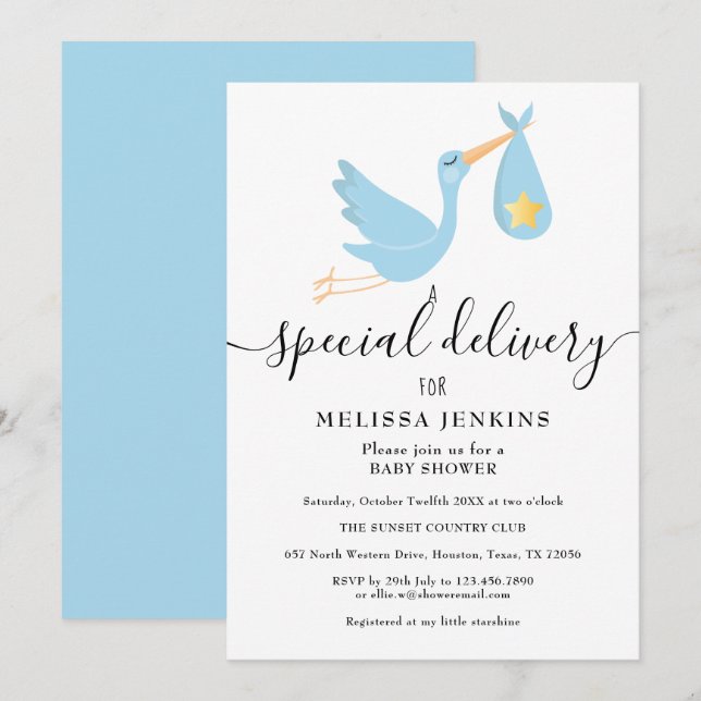 Special Delivery Stork Star Baby Shower Sprinkle Invitation (Front/Back)