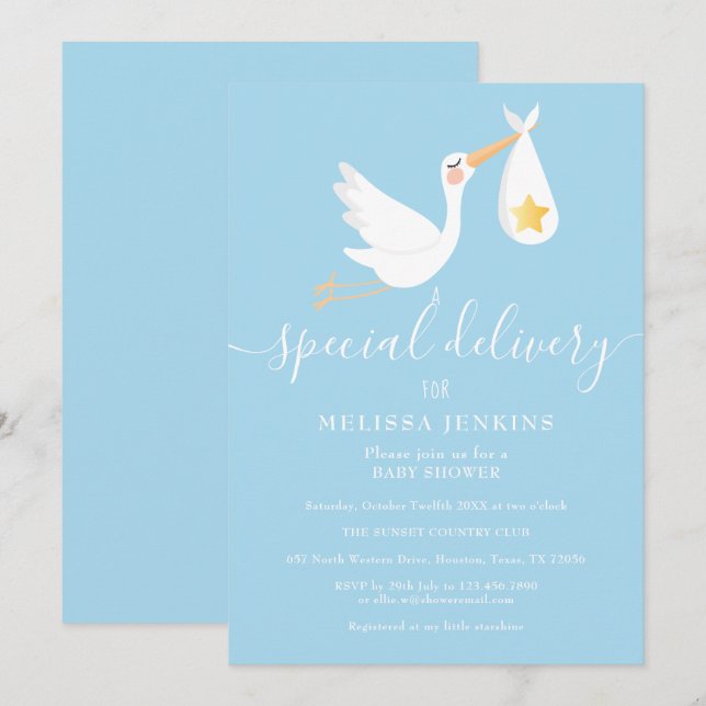 Special Delivery Stork Star Baby Shower Sprinkle Invitation (Front/Back)