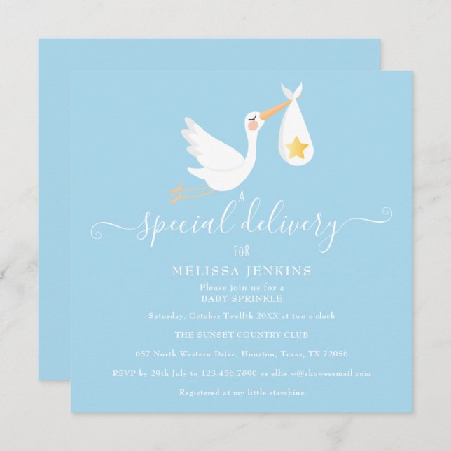 Special Delivery Stork Star Baby Sprinkle Shower Invitation (Front/Back)