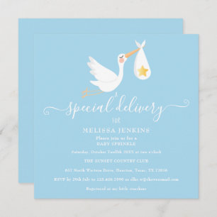 Special Delivery Stork Star Baby Sprinkle Shower Invitation
