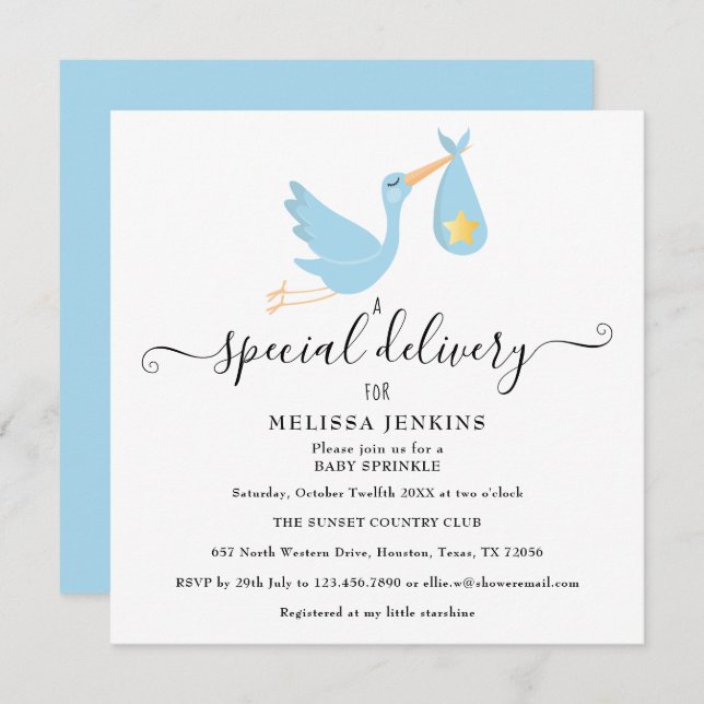 Special Delivery  Stork Star Baby Sprinkle Shower Invitation (Front/Back)