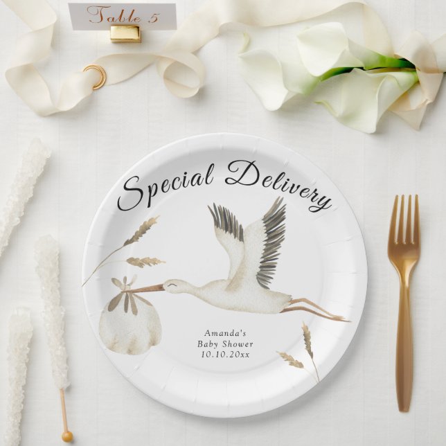Special Delivery Watercolor Stork Baby Shower Paper Plate (Wedding)
