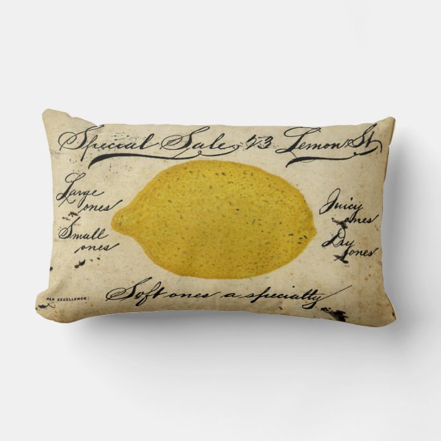 Special Lemons -1897 Lumbar Pillow (Front)