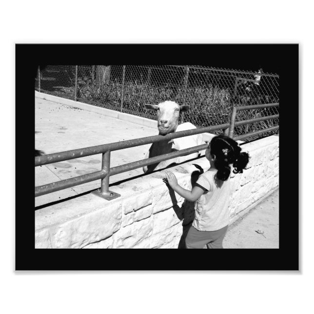 Special Meeting Photo Print (Front)