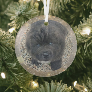 Special Order Gray Puppy Glass Ornament