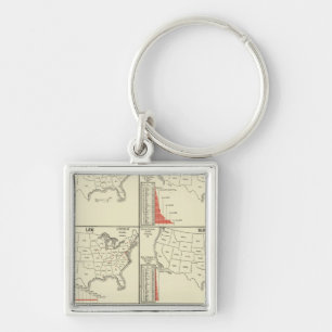 special school's statistics keychain