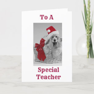 SPECIAL TEACHER GETS SPANIEL WISHES AT CHRISTMAS HOLIDAY CARD